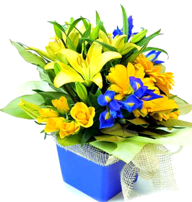 New Baby Bouquet